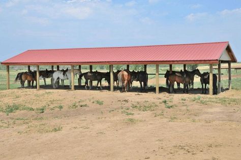 Horse Shelter Ideas, Diy Horse Shelter, Horse Run In Shed, Horse Run In Shelter, Painted Garden Sheds, Pasture Shelter, Steel Houses, Horse Shelters, Craftsman Home Exterior