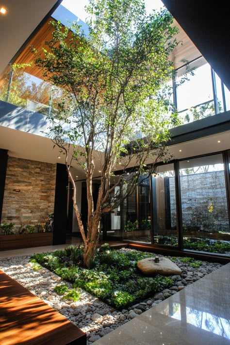 Modern industrial house indoor atrium with a tree and garden. Check out all of these homes that combine sleek minimalism with rugged industrial charm for a house design that’s both edgy and sophisticated. Home With Tree Inside, Tree In The Middle Of The House, Indoor Atrium Design, House With Garden Inside, Indoor Garden Interior Design, Houses With Garden In The Middle, Tree In Middle Of House, Garden In The Middle Of The House, Green Spaces Indoor