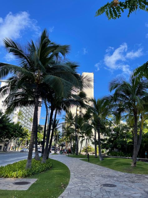 Lush green Palm trees in Oahu, Hawaii with large buildings in the background House With A View, Hawaii Aesthetic, Hawaii Summer, Dream Life House, Vacation Aesthetic, University Of Hawaii, Tropical Holiday, City Lifestyle, Drifting Cars