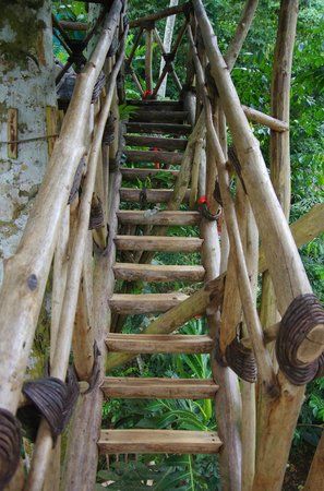 Tree House Stairs Ideas, Tree House Stairs, Treehouse Stairs, House Stairs Ideas, Tree House Village, Republic Pictures, House Village, Stairs Ideas, Garden Stairs