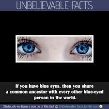 Thats cool Blue Eye Facts, People With Green Eyes, Eat Drink Man Woman, People With Blue Eyes, Eye Facts, Behind Blue Eyes, Unbelievable Facts, E Mc2, Blue Eyed