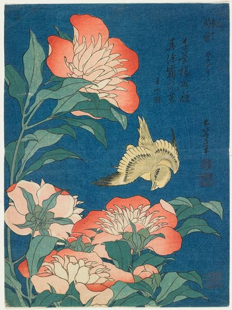 Peonies and Canary, Katsushika Hokusai; Author: Poem by Wang Shiming; Publisher: Nishimuraya Yohachi Istoria Artei, Power Trip, Print Advertisement, Katsushika Hokusai, Art Japonais, Japanese Woodblock Printing, Ukiyo E, Japanese Painting, Japan Art