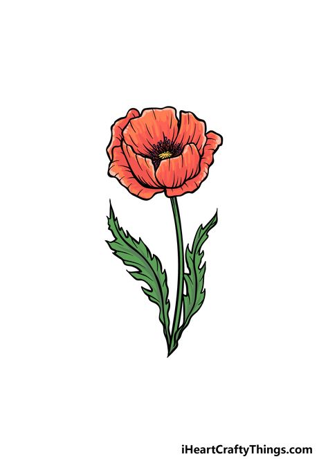 How to Draw A Poppy – A Step by Step Guide Draw Poppy Flower, Rain Cloud Tattoos, Poppy Flower Drawing, Poppy Images, Poppy Drawing, Cloud Tattoo, Flower Colors, Book Drawing, Drawing Images