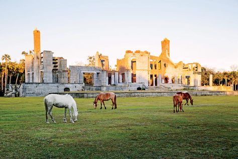 The South’s Best Island Getaways: Cumberland Island, Georgia Glowing Beach, Cumberland Island Georgia, Georgia Getaways, Family Mansion, Horses Grazing, Cedar Key, Cumberland Island, Georgia Vacation, Southern Travel