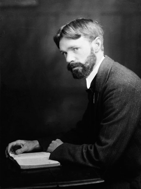 Byronic Hero, Dh Lawrence, D H Lawrence, Social Realism, Contemporary Poetry, Lgbt History, Beatles George, Thomas Hardy, Book Of Revelation