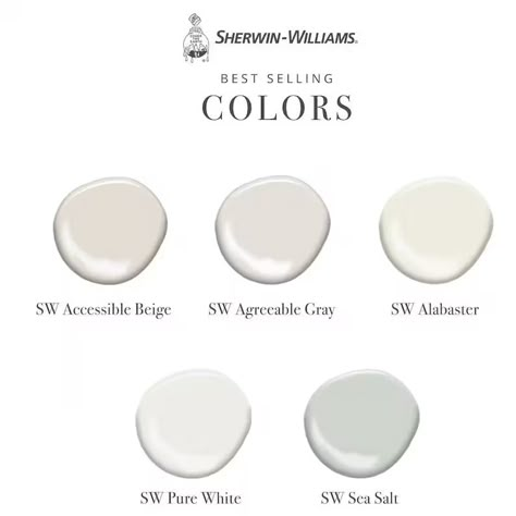 Best Selling Sherwin Williams Neutral Paint Colors White Paint Colors BIG 18x12 Painted Color Boards - Etsy Eager White Sherwin Williams, Off White Bathroom Paint Colors, Best Neutral Cream Paint Colors, Sherwin Williams Sanctuary Paint Color, Sherwin Williams Farmhouse White, Sherwin Williams Ivory Paint Colors, Sherman Williams Best Neutrals, Best Interior White Paint Colors 2024, Neutral Interior Paint Colors For 2024