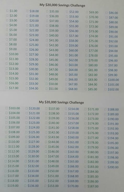 20,000 Savings Challenge 20k Savings Plan, 20k Challenge, Saving Plans, Money Challenges, Adulting 101, Debt Freedom, Saving Plan, Savings Challenges, Money Savings