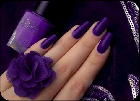 Matte Purple Nails, Top Lila, Purple Nail Art Designs, Purple Manicure, Purple Nail Art, Purple Acrylic Nails, Purple Nail Polish, Purple Nail Designs, Purple Nail