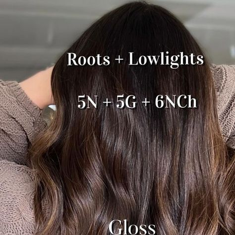 Elaine Cavada | ILLINOIS |BALAYAGE | BRUNETTE LOVER on Instagram: "Brown Sugar Formula  @redken Shades Eq Roots + Depth 5N + 5G + 6NCh  Gloss 7NCh + 7P + 6NB  #chicagobalayage #darkbalayage #wheatonhairstylist #brunettehighlights #illinoishair #illinoiscolorist #darkbalayage #chicagohaircolorist #brunettespecialist #brunettehairinspo #redkenshadeseqgloss #dimensionalbrunette #balayagechicago #midwesthairstylist" 5n Hair Color With Highlights, Redken 5n Shades Eq, Chocolate Brown Redken Shades Eq, 6nch Redken, Redken Dark Brown Formula, Redken Hair Color Formulas Brown, Brunette Color Formulas, Brown Balayage Formula, Light Chocolate Brown Hair Balayage