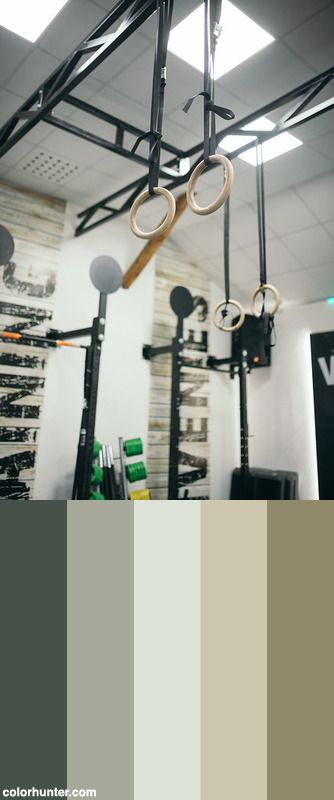 Gym Colour Scheme, Gym Colour Palette, Home Gym Color Scheme, Gym Color Palette, Gym Color Scheme, Gym Colors Ideas, Dojo Interior, Gym Interiors, Gymnastics Equipment For Home