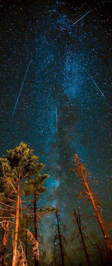 Perseids Meteor, Cer Nocturn, Perseid Meteor Shower, Futurisme Retro, Meteor Shower, The Night Sky, Alam Yang Indah, Beautiful Sky, Science And Nature