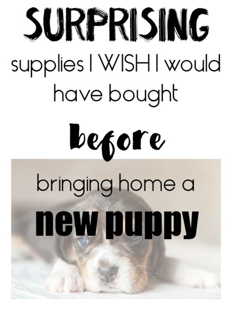 First Puppy, Puppy Items, Puppy List, New Puppy Checklist, Puppy Obedience Training, Puppy Time, Puppies Tips, Positive Dog Training, Easiest Dogs To Train