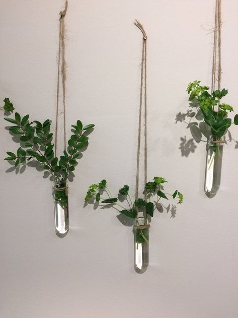 Hanging Test Tube Plants, Plant Test Tube, Test Tube Vase Wall, Diy Test Tube Planter, Plants In Test Tubes, Test Tube Diy, Test Tubes Crafts, Test Tube Decor Ideas, Glass Tubes Ideas