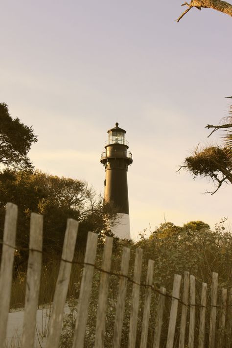 Hunting Island lighthouse Hunting Island Lighthouse, House At Christmas, St Louis Cathedral, Palmetto Moon, Painted Bunting, Cat Island, White Egret, Lighthouse Painting, Port Royal