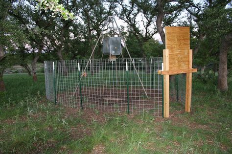 An article discussing an affordable homemade game feeder corral trap to save time, money, feed, and energy. This article explains why you should and how you can construct an affordable DIY trap using a deer feeder to trap wild pigs (feral hogs). Hunting Camp Ideas, Hog Trap, How To Make Traps, Deer Processing, Pig Hunting, Wild Hogs, Deer Feeders, Hunting Stands, Hog Heaven