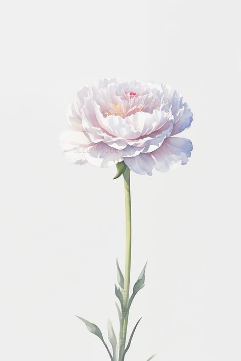 Carnation Birth Flower, January Birth Flowers, Pink Carnations, Aesthetic Minimalist, Carnation Flower, Elegant Home, Floral Artwork, Birth Flower, The Grace