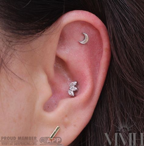 If gold isn’t your jam, we also have a great selection of implant grade titanium! Taryn added this fresh flat and conch piercing with a high polish moon from @anatometalinc and a CZ marquise fan from @industrialstrength #implantgradetitanium #flatpiercing #makemeholey #makemeholeybodypiercing #appmember #safepiercing #conchpiercing #sanjosepiercing #mmhtaryn @piercingsbytaryn Flat Piercing, Conch Piercing, Conch, Jam, Moon, Fan, Gold