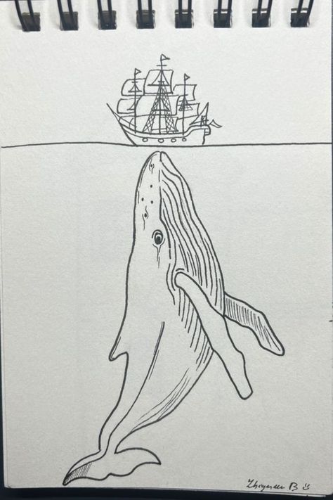 Underwater Animals Drawing, Draw Whale, Big Drawings, Pirate Ship Drawing, Whale Sketch, Underwater Drawing, Shrunken Heads, Whale Drawing, Big Whale