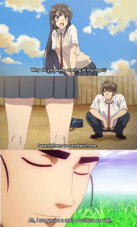 Man Of Culture, Rascal Does Not Dream, Anime Rules, Bunny Girl Senpai, Good Anime To Watch, Pinterest Memes, Anime Jokes, Anime Memes Funny, Bunny Girl