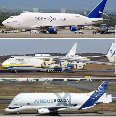 Airbus Beluga, Boeing Planes, An 225, Helicopter Plane, Aviation World, Cargo Airlines, Airline Logo, Passenger Aircraft, Aircraft Photos