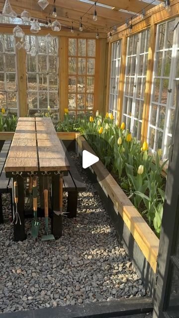 Sitting Area In Greenhouse, Gazebo Greenhouse Diy, Greenhouse Plans Layout, Greenhouse Attached To Shed, Greenhouse Roof Ideas, Leanto Greenhouse Ideas, Cute Greenhouse Ideas, Invernaderos Ideas, Diy Greenhouse With Old Windows