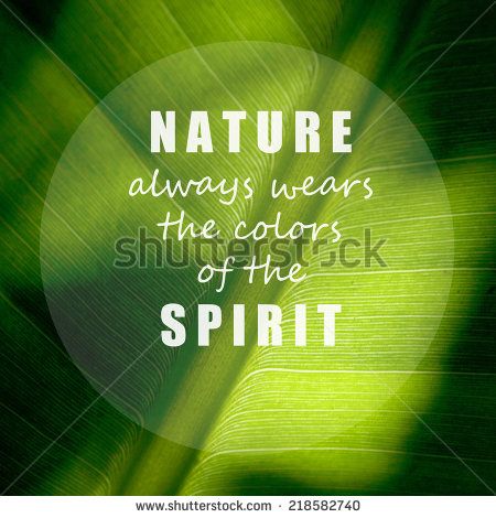 Quote about nature. Inspiration quote on green leaf background. Motivation typography. Green Nature Quotes, Nature Quotes Beautiful, Leaf Quotes, Leaving Quotes, Literary Love Quotes, Boyfriend Girlfriend Quotes, Green Leaf Background, Garden Quotes, Find Quotes