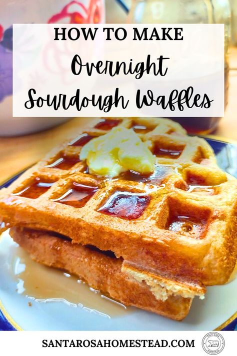 Overnight Sourdough Waffle Recipe - Santa Rosa Homestead Sourdough Waffle Recipe, Sourdough Waffles, Overnight Sourdough, Sourdough Starters, Natural Yeast, Sourdough Bread Starter, Dough Starter, Sourdough Pancakes, Sourdough Starter Discard Recipe