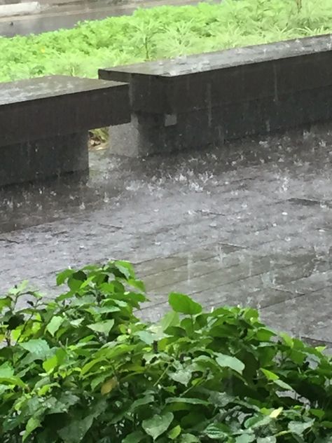 Torrential Downpour, Singapore. Everyday Scenes, Summer Child, Rain Aesthetic, A Beautiful Morning, Beautiful Morning, The Hope, Summer Kids, No Matter What, Beautiful Pictures