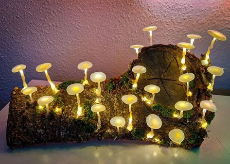 Crafts Mushroom, Mushroom Lamps, Mushroom Lights, Cozy Reading Corners, Jumping Spider, Mushroom Decor, Mushroom Lamp, Cozy Reading, Pisco