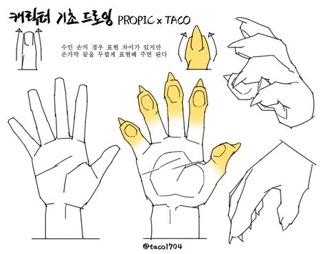 Propic Taco Anatomy, Hand References Drawing, Hands Tutorial, Cat Drawing Tutorial, Manga Drawing Tutorials, Hand Drawing Reference, Creative Drawing Prompts, Body Reference Drawing, Hand Reference