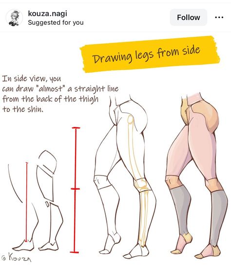 Leg Reference, Leg Anatomy, Body Type Drawing, Female Anatomy Reference, Drawing Legs, Anime Fyp, Man Anatomy, Human Anatomy Drawing, Body Drawing Tutorial