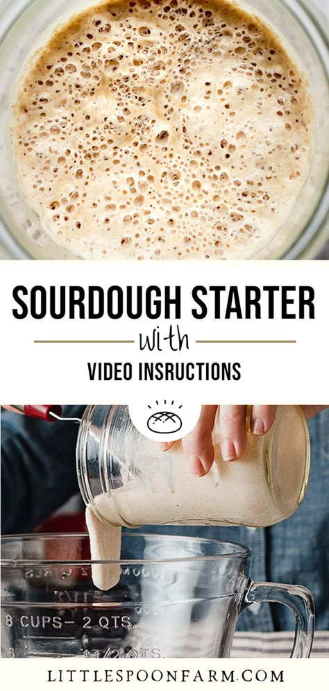 Make A Sourdough Starter, Dough Starter, Sourdough Bread Starter, Sourdough Starter Discard Recipe, Bread Starter, Homemade Sourdough Bread, Sourdough Starter Recipe, Sourdough Baking, Sourdough Bread Recipe