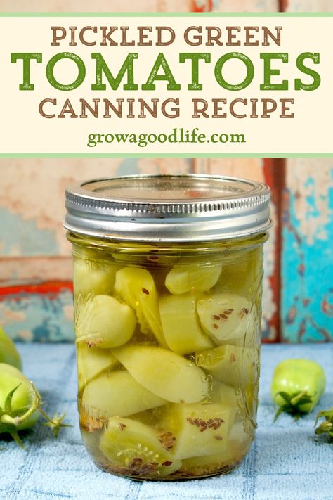 Green Tomatoes Canning, Green Tomato Pickles, Tomato Pickle Recipe, Canning Green Tomatoes, Canning Tomatoes Recipes, Pickled Green Tomatoes, Pickled Tomatoes, Green Tomato Recipes, Tomato Recipe