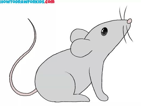 How to Draw a Mouse Step by Step - Drawing Tutorial For Kids Cartoon Mice Drawing, Mouse Drawing Easy, Cute Mouse Drawing, Mice Drawing, Mouse Doodle, Mouse Video, Cloth Projects, Rat Drawing, Kindergarten Drawing