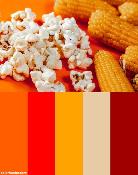 Heads Of Corn And Popcorn On Orange Background Color Scheme from colorhunter.com Corn Color Palette, Candy Corn Color Palette, Background Color Palette, Popcorn Illustration, Corn Texture, Popcorn Graphic, Vector Background Graphics, Colored Popcorn, Kettle Corn