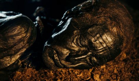 Tollund Man, discovered in a bog in 1950 near Silkeborg, Denmark, initially was thought to be the victim of a recent murder. Astrology Asteroids, Tollund Man, Dark Astrology, Ap History, Bog Body, Baba Jaga, The Iceman, Soil Health, The Solar System