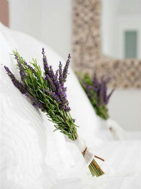 Lavender Cottage, Lavender Garden, Lavender Tea, Farmhouse Garden, Lavender Green, Lavender Farm, Lovely Lavender, Tea Garden, Lavender Wedding