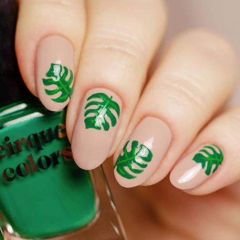 863 Likes, 8 Comments - Cirque Colors (@cirquecolors) on Instagram: “BE-A-UTIFUL #monstera leaves by @redheadnails using #Lafayette (20% off until March 31st on…” Nails For All Seasons, Deco Nails, Mani Pedi Ideas, 2022 Nails, Pedi Ideas, Cirque Colors, Art Deco Nails, Diva Nails, Monstera Leaves