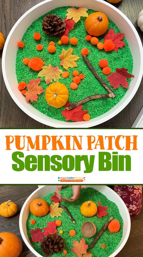 Pom Pom Pumpkin Patch Sensory Bin - Happy Toddler Playtime Pumpkin Sensory Bin Preschool, Pumpkin Sensory Bin, Pumpkin Sensory, Pumpkin Patch Activities, Activities For One Year Olds, Toddler Sensory Bins, Fall Preschool Activities, Toddler Sensory, Sensory Boards