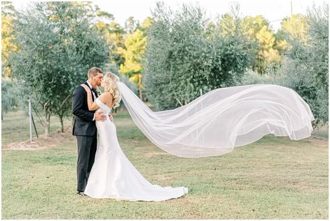 Long Veil Wedding Photo Ideas Long Veil, Wedding Pictures Outside, Bride With Veil Photography, Cathedral Veil Pictures, Bride Veil Photography, Photo Poses For Wedding, Wedding Photography Veil Shots, Wedding Portraits With Veil, Wedding Photo Ideas With Veil