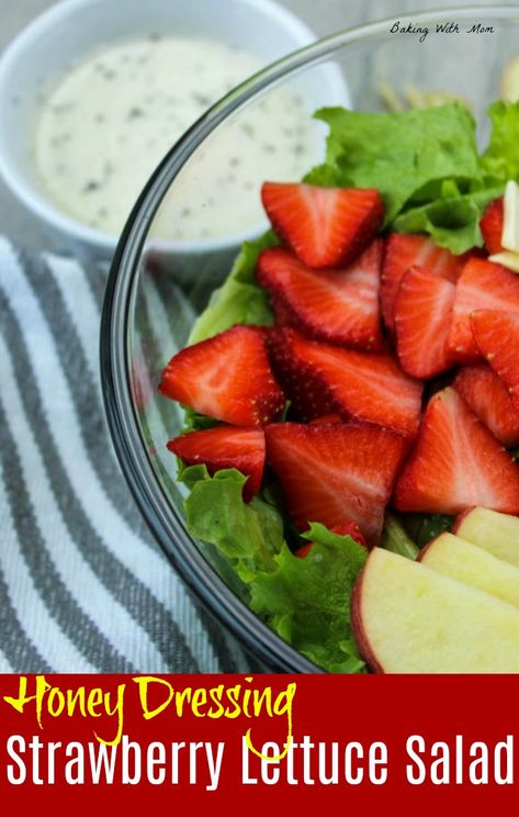 Strawberry Lettuce Salad with Honey Dressing a great salad recipe. Loaded with apples, fresh green lettuce and sweet strawberries. The dressing is a simple recipe with delicious sweet honey. #saladrecipe #strawberrysalad Good Lettuce Salad Recipes, Lettuce Salad With Strawberries, Strawberry Lettuce Salad Recipes, Salad Recipes With Strawberries, Strawberry Lettuce Salad, Health Sweets, Garden Meals, Apple Cider Vinegar And Honey, Honey Salad Dressing