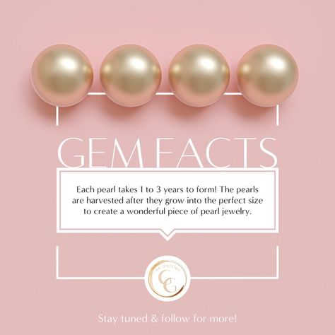 💎 Gem Facts: Pearls Take Time 💎 Think about how many beautiful pearls are being worn by jewelry-loving people all over the world... Each one of those pearls took between a year and three years to come to fruition! Then, the pearls are harvested after they grow into the perfect size to create a wonderful piece of pearl jewelry. Jewellery Branding, Loving People, Jewelry Magazine, Jewelry Photos, Jewelry Photography, Sea Pearls, South Sea Pearls, Creative Jewelry, Post Design