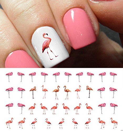 Flamingo Water Slide Nail Art Decals  Salon Quality 55 X 3 Sheet * More info could be found at the image url.(It is Amazon affiliate link) #instagood Summer Pedicure Designs, Flamingo Nail Art, Flamingo Nails, Summer Pedicure, Pedicure Designs, Nail Art Decals, Luxury Nails, Nail Art Summer, Art Decals