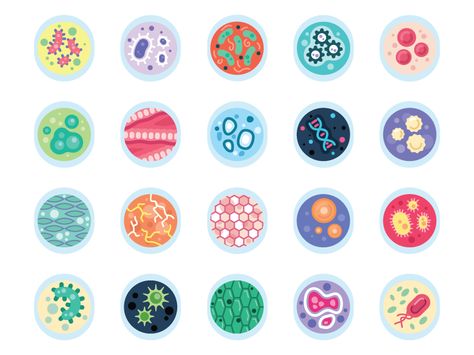 Cells Cell Illustration Biology, Cell Biology Art, Cell Aesthetic, Cells Illustration, Cell Illustration, Cell Art, Cell Design, Avatar Illustration, Science Display