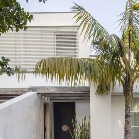 Eco Outdoor on Instagram: "We love the use of natural stone in this project in Sydney’s Bellevue Hill. Our Scala travertine crazy paving underfoot and our Chambon travertine curved into a wall that leads you to the house, surrounded by large palms and lush landscaping. ⁠Landscape Architecture @landart_home_garden_beyond Photography @jasonbuschphotographer" Crazy Paving, Front Entrances, Landscape Architecture, Lush, Entrance, Natural Stones, Door Handles, Home And Garden, Stone