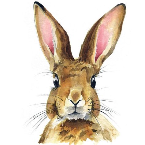 Watercolor Rabbit, Hare Painting, Animals Tattoo, Bunny Watercolor, Let's Make Art, Bunny Painting, Rabbit Painting, Watercolor Kit, Woodland Art