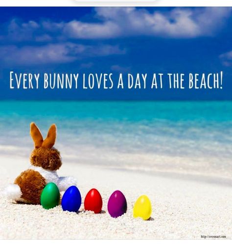 Beach Quotes, Beach Holiday, Crafts With Pictures, Easter Time, Coastal Decor, Beach Life, Easter Spring, Easter Eggs, Easter