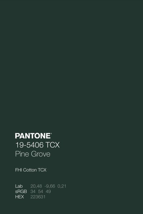 PANTONE 19-5406 TCX Pine Grove • Download Free Adobe Illustrator Palette in .ase • #pantone #pantonegreen #green #pinecolor #autumncolor #autumnaesthetics Dark Green Branding, Green Pallet Color, Free Adobe Illustrator, Pantone Orange, Pantone Green, Dorado Color, Pantone Colours, Pantone Fall, Pantone Color Chart