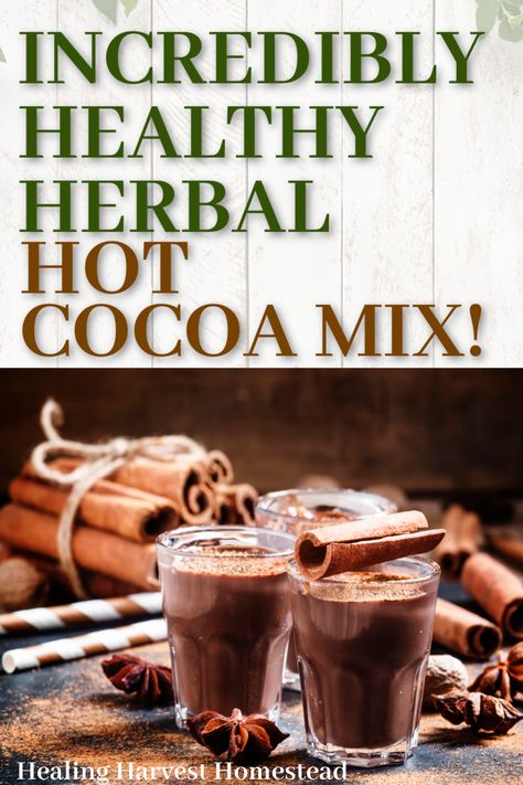 Mmmm. Spiced hot cocoa mix: That's what you need to warm you up on a chilly day! And if it's still warm out? Well, then you can ice it, too. Find out how to make this healthy and easy hot chocolate blend mix with my recipe using herbs and spices. You'll make this over and over! #hotchocolate #chocolate #chocolatedrink #healthydrink #healthy #spicy #cocoa #drink #mix #blend #chocolaterecipe #recipe #fall #falldrink #hotdrink Hot Chocolate Mix Recipe Dry Healthy, Spiced Hot Cocoa Mix Recipe, Healthy Cocoa Drink, Diy Hot Cocoa Mix Recipes No Dry Milk, Mexican Hot Cocoa Mix Recipe, Healthy Hot Cocoa Mix Recipe, Healthy Hot Chocolate Mix Recipe Dry, Dry Drink Mix Recipes, Dark Hot Chocolate Mix Recipe