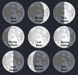 The Phases of the Moon--A Middle School Science Hands On Lesson Last Quarter Moon Tattoo, First Quarter Moon Tattoo, Faces Of Moon, Waxing Gibbous Moon Tattoo, Waning Gibbous Moon Tattoo, Waning Crescent Moon Tattoo, Faces Of The Moon, Middle School Science Lab, Moon Faces